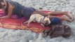 French Bulldog Surprises Basking Woman by Rolling Over Next to Her