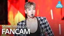 [예능연구소 직캠] MONSTA X - Alligator (SHOWNU), 몬스타엑스 - Alligator (셔누) @Show Music core 20190223