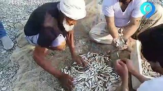 Fishing in Sistan Balochistan Iran