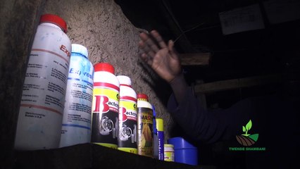 Twende Shambani: Dairy farming PART 2