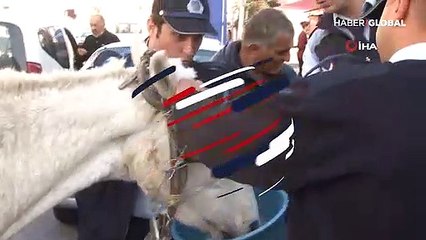 Esenyurt'ta bir ayağı sakat ve gözü kör ata işkence!