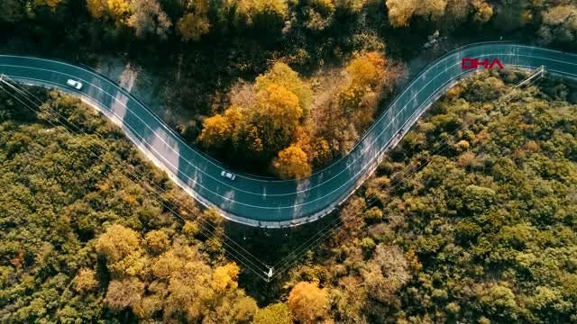 İstanbul ormanları sonbaharın renklerine büründü