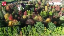 İstanbul ormanları sonbaharın renklerine büründü