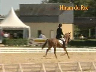 Hiram du Roc