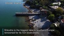 Fishy tacks: poaching threatens Balkans' biggest lake