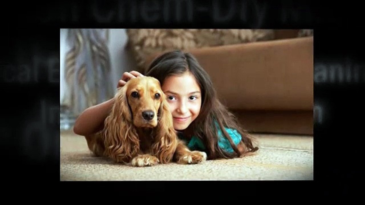 Carnation Chem-Dry Middleton Carpet Cleaning Madison