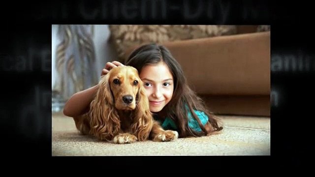 Carnation Chem-Dry Middleton Carpet Cleaning Madison