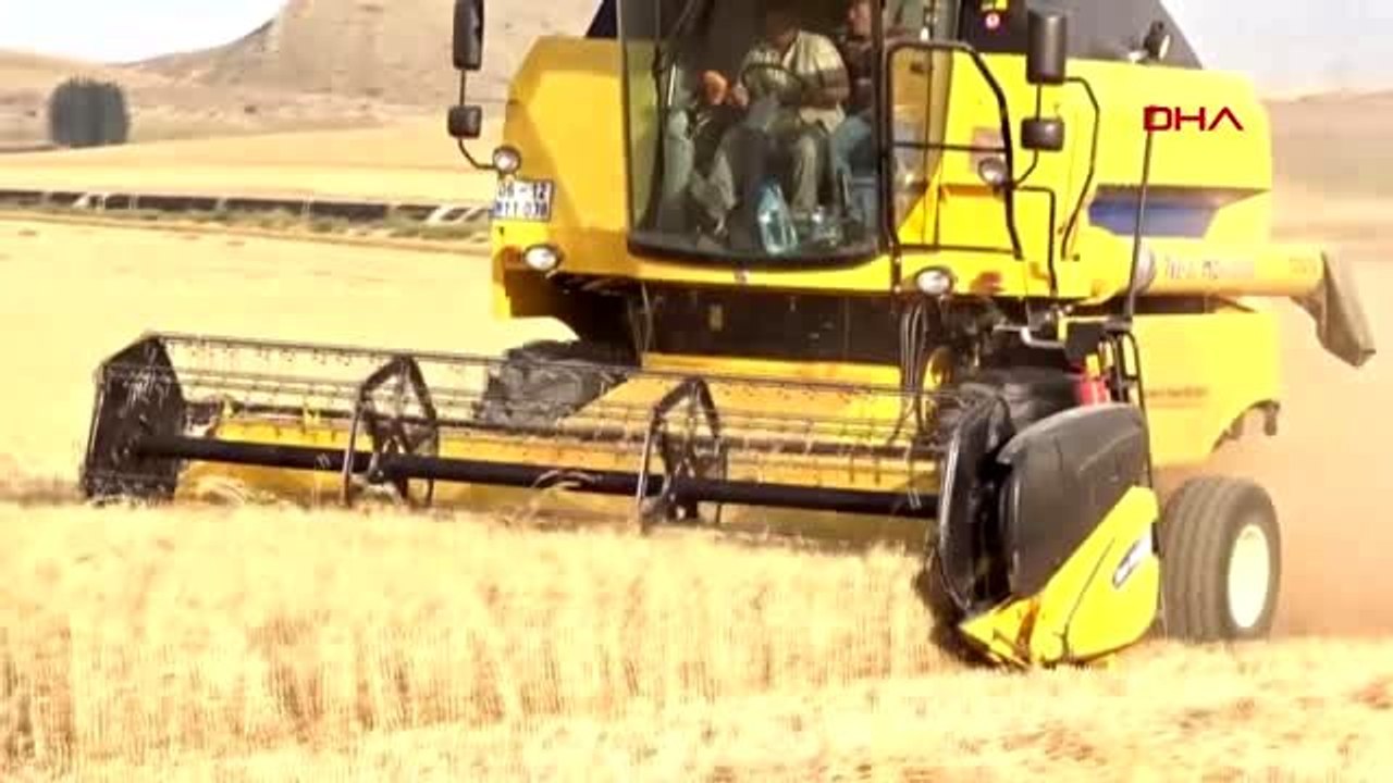 Mardin 'mezopotamya güneşi' bulgur için sıraya girdiler