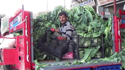 Sıcak havalar kışlık sebzeyi vurdu