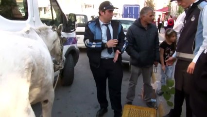 Bir Ayağı Sakat Ve Kör Ata İşkenceyi Zabıta Önledi