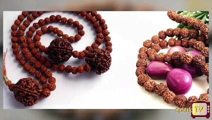 ருத்ராட்சத்தை யாரெல்லாம் அணிய கூடாது, ஏன் ?