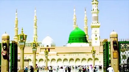 12 Rabi ul Awal manana kaisa hai by MOLANA SAQIB RAZA