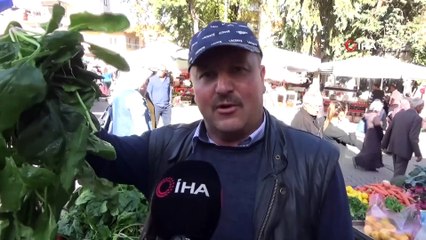 Organik Ispanak İlgi Görüyor