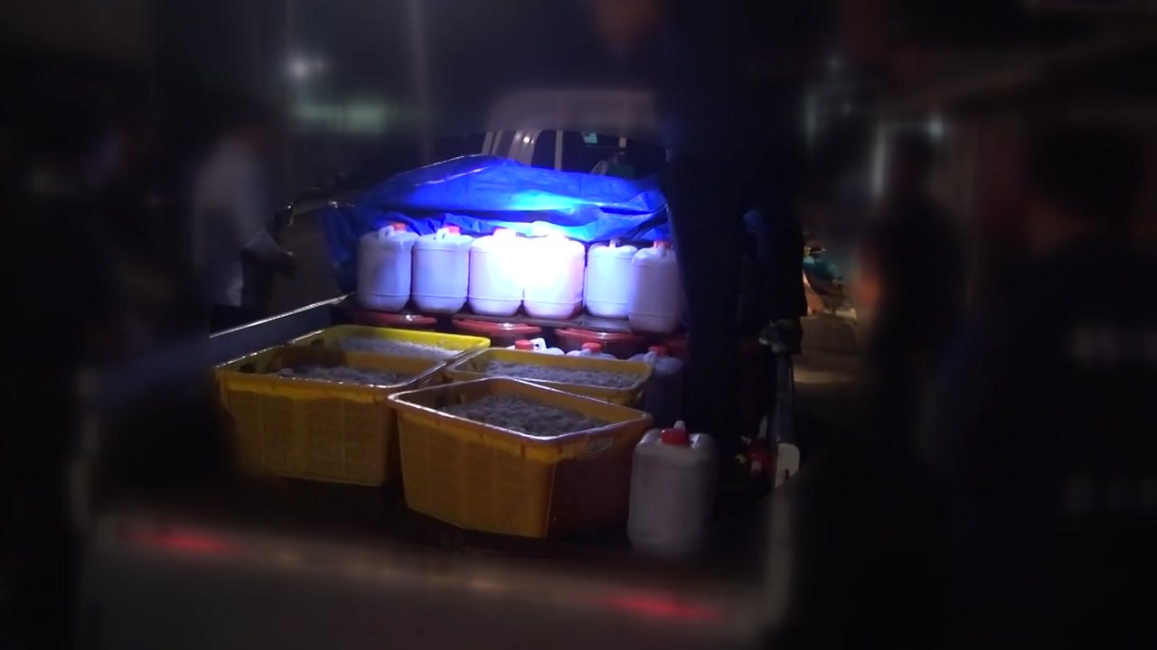 중국산 냉동 젓새우 국산으로 속여 유통한 일당 적발 / YTN