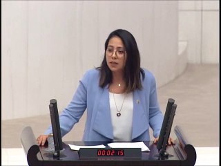 CHP'li Kadıgil: IŞİD’in Türkiye’de kurduğu iddia edilen “cazibeli kafirler” pazarları araştırılmalı