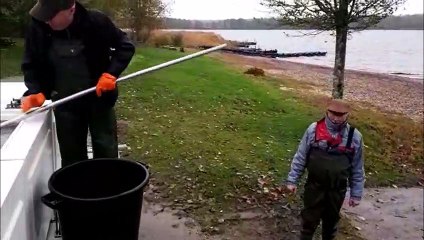 1,2 tonne de sandres pour repeupler les étangs-réservoirs du Pays de Sarrebourg