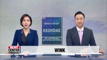 Taking a closer look at Korea with 'WINK'