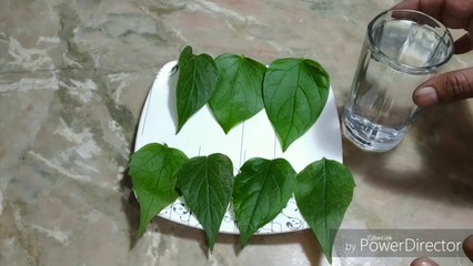 हारसिंगार {परिजात} पेड़ के पत्तों से जोड़ों के दर्द का रामबाण इलाजgharelu nuskhehome remedies