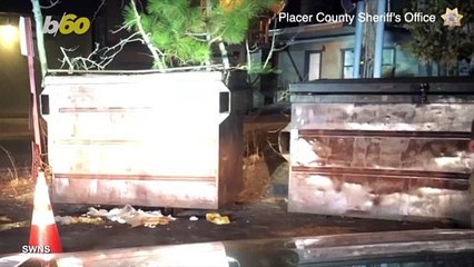 Deputies Rescue Giant Bear Trapped Inside Dumpster
