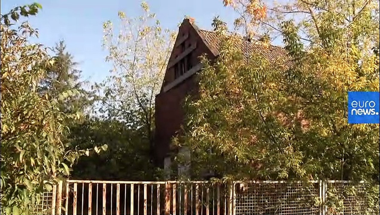 Berlin Wall 30th anniversary: Remembering the last person killed trying to escape to the west