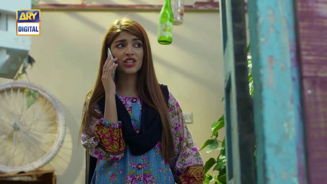 Gul-o-Gulzar Ep 22