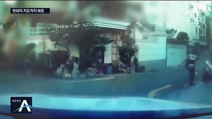 부산은 멧돼지와의 전쟁 중…3주간 83마리 출몰