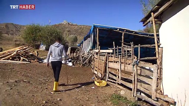 Genç çoban devlet desteği ile kendi işini kurdu