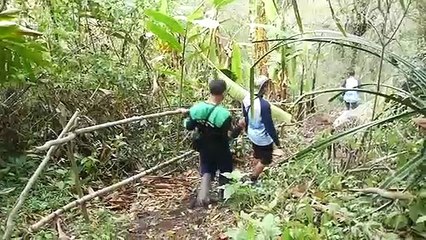 Menjaga Primata Setia