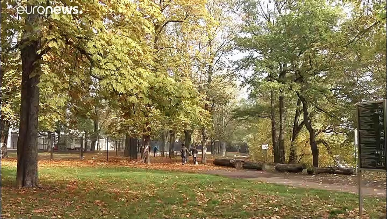 Emanzipiert und unabhängig: Was ist dran am Mythos "Ostfrau"?