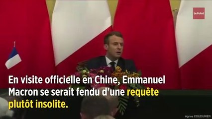 Emmanuel Macron veut garder les pandas chinois du zoo de Beauval