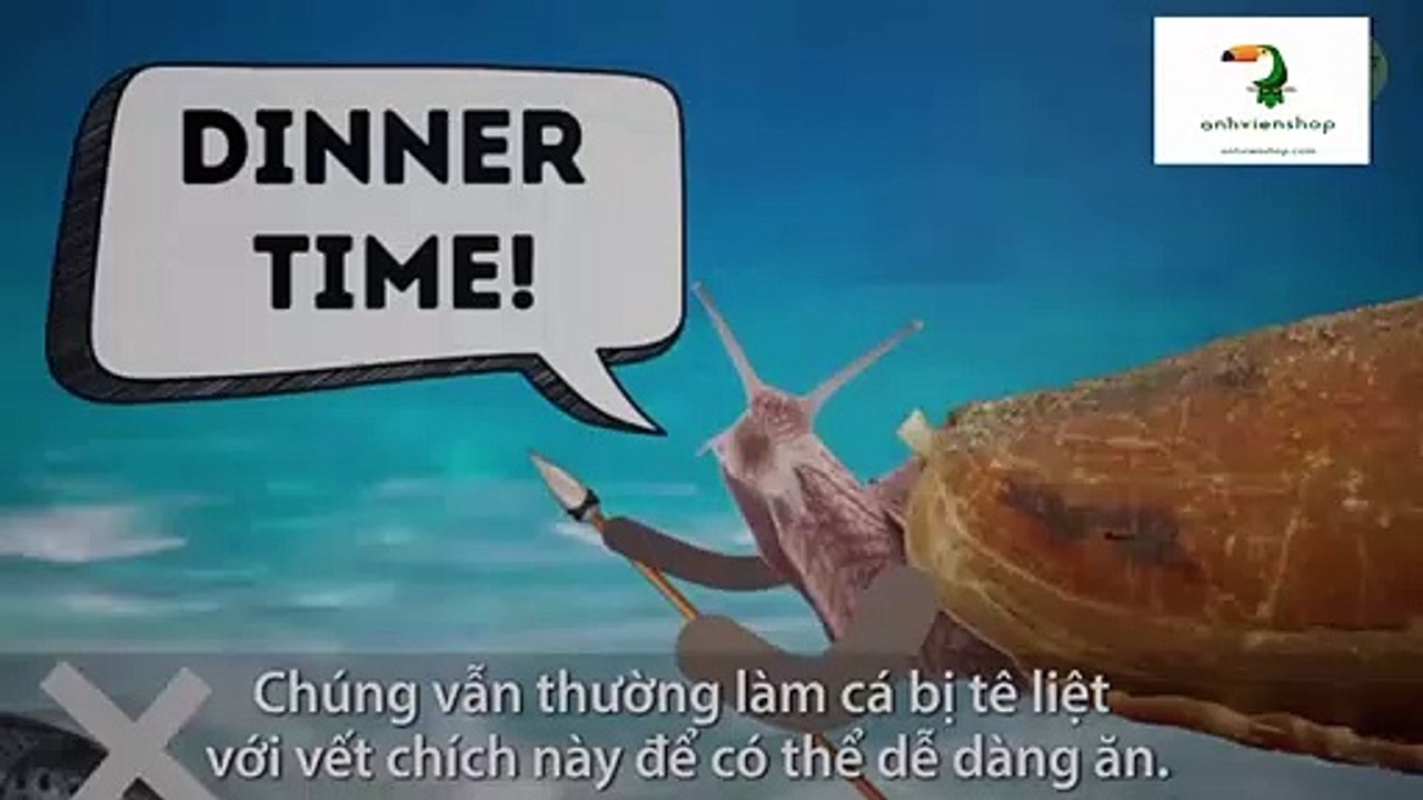 Những sinh vật có thể gây tử vong nếu bạn chạm vào