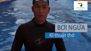 Kỹ thuật bơi ngửa cho người mới học