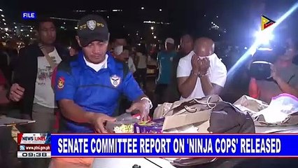 Senate committee report on 'ninja cops' released