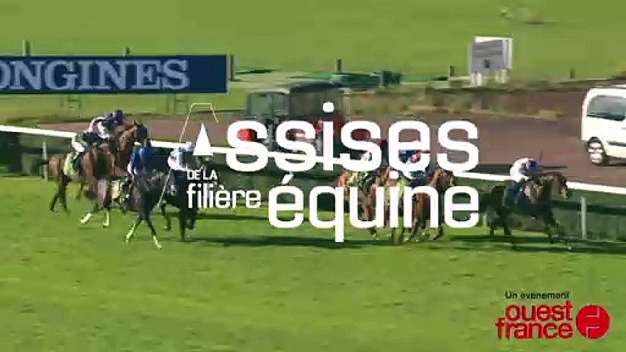 Assises de la filière équine 2019. Face à face. Débat contradictoire : que veulent les associations antispécistes, végan et autres ?