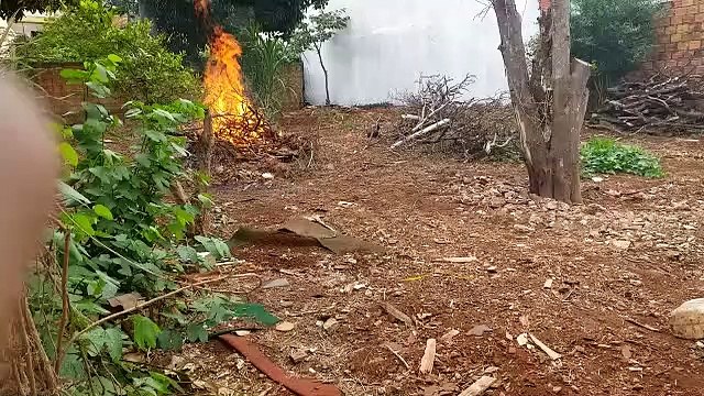 Morador reclama de constantes incêndios em galhos e folhas