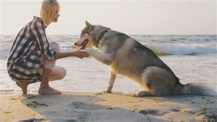 Mehr Rechte für Therapie-Tiere?
