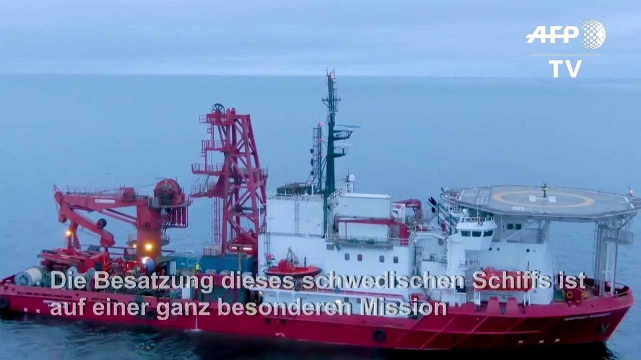 Hunderte Schnaps-Flaschen aus Schiffswrack geborgen