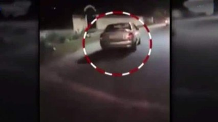 Video viral: Dog dragged to death after being tied to vehicle in Rajasthan