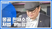 '기내 성추행' 몽골 헌재소장, 처벌 가능할까? / YTN