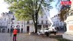VIDEO. Poitiers : la ville teste les arbres du square de la République