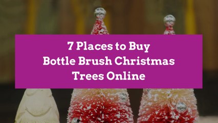 7 Places to Buy Bottle Brush Christmas Trees Online