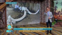 ¡Extraordinario! Hallan 14 restos de mamut en Tultepec, Estado de México. | Venga La Alegría