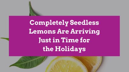 Completely Seedless Lemons Are Arriving Just in Time for the Holidays