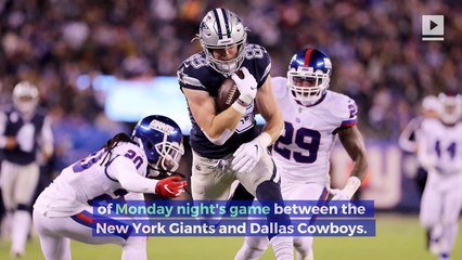 MNF Black Cat Among 300 Feral Cats Living Inside MetLife Stadium