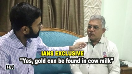 "Yes, gold can be found in cow milk"