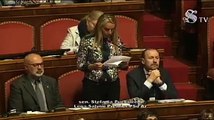 Pucciarelli - La Lega condanna fermamente l'attacco della Turchia (07.11.19)