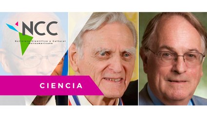 Pre­mio No­bel de Quí­mi­ca 2019 a tres cien­tí­fi­cos por ba­te­rías re­car­ga­bles de li­tio