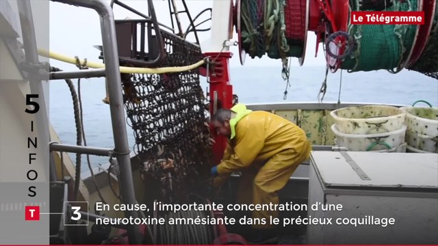 Incendie mortel, contrôle de vélos, charte touristique... Cinq infos bretonnes du 7 novembre