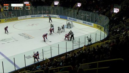 Florida Everblades vs Orlando Solar Bears