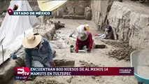 Descubren en Tultepec los restos de 14 mamuts